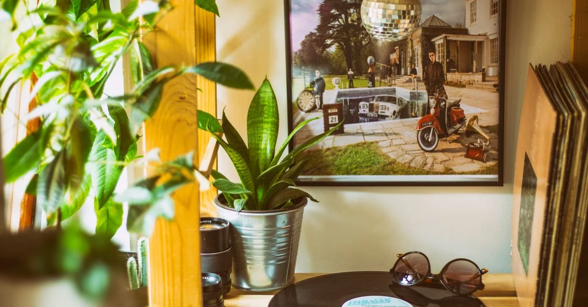 Un interior moderno con discos de vinilo, plantas y decoración para una atmósfera acogedora.