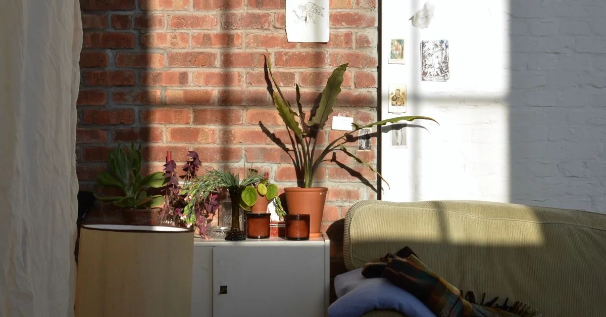 Coin de salon ensoleillé avec des plantes en pot sur un mur en briques et des meubles confortables.