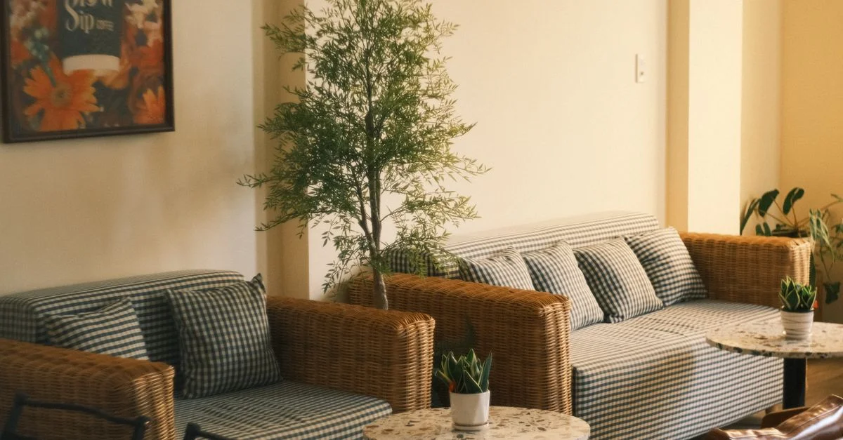 Encantador ambiente interior con sofás a cuadros, plantas de interior y una atmósfera cálida y acogedora.